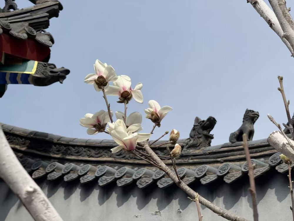 
沈阳各大医院黄牛代挂号电话票贩子号贩子网上预约挂号,住院检查加快,“花样经济”何以动人心？