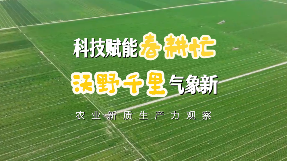 
南京各大医院黄牛代挂号电话票贩子号贩子网上预约挂号,住院检查加快,科技赋能春耕忙 沃野千里气象新——农业新质生产力观察