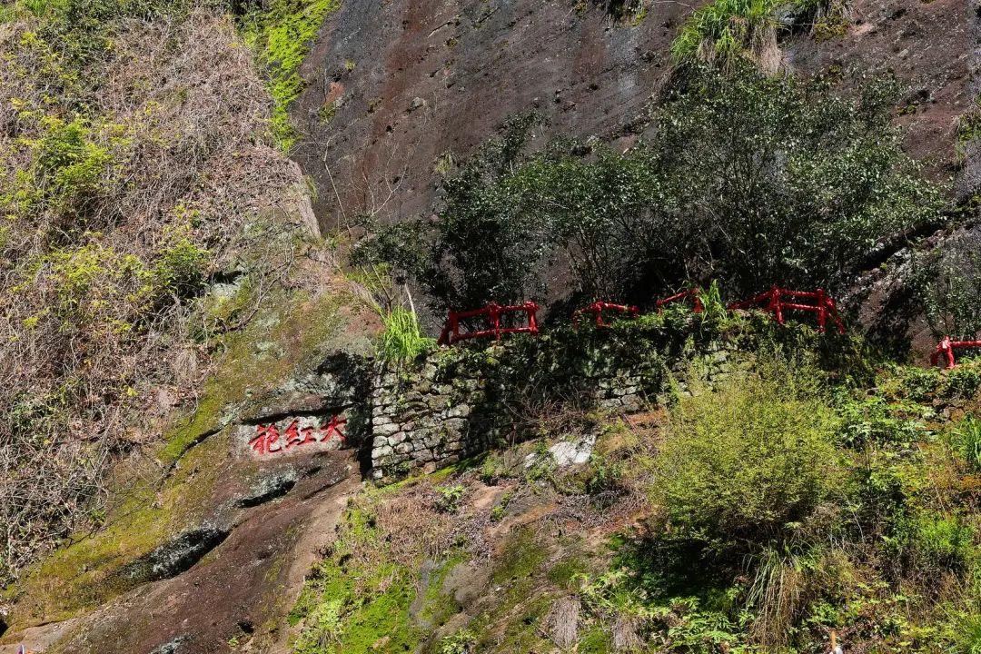 
上海第十人民医院黄牛代挂号电话票贩子号贩子网上预约挂号,住院检查加快,何以中国②丨一杯工夫茶，香飘千万里