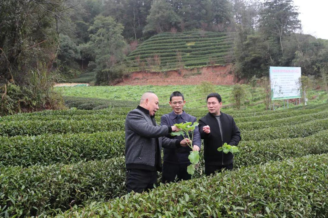 
上海第十人民医院黄牛代挂号电话票贩子号贩子网上预约挂号,住院检查加快,何以中国②丨一杯工夫茶，香飘千万里