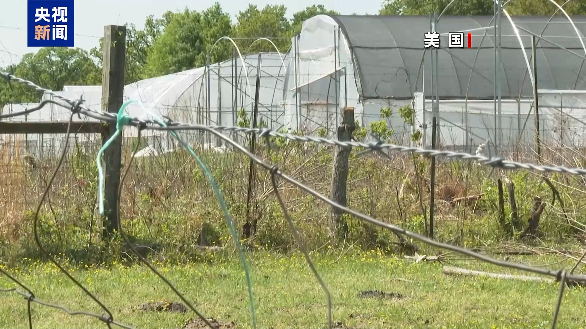 
北京安定医院黄牛代挂号电话票贩子号贩子网上预约挂号,住院检查加快,关税政策加剧美农业困境 美农业生产者破产风险陡增