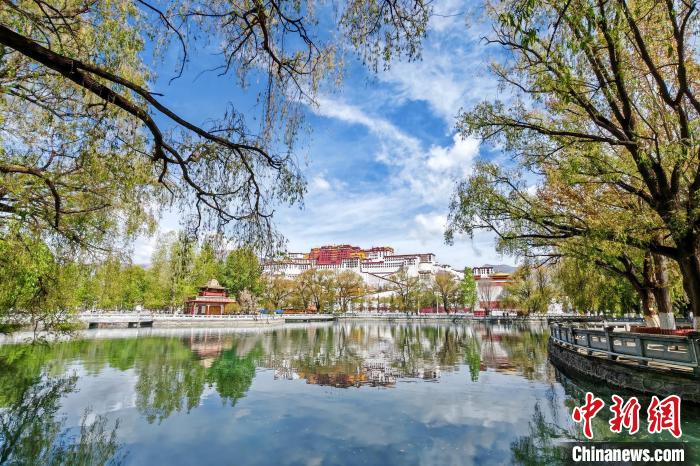 
北京各大医院黄牛代挂号电话票贩子号贩子网上预约挂号,住院检查加快,西藏旅游市场随春暖