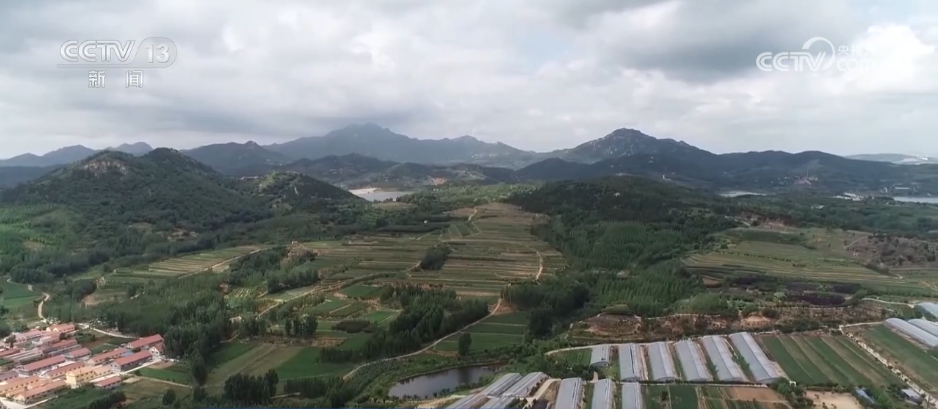 
北京鼓楼医院孙凌云黄牛代挂号电话票贩子号贩子网上预约挂号,住院检查加快,水果刺客→亲民爆款 科技为百姓“果盘子”注入“鲜”力量