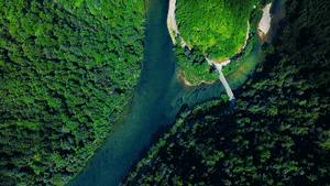 天津血液研究所黄牛代挂号电话票贩子号贩子网上预约挂号,住院检查加快,何以中国|万物皆可“熏”,地道武夷味