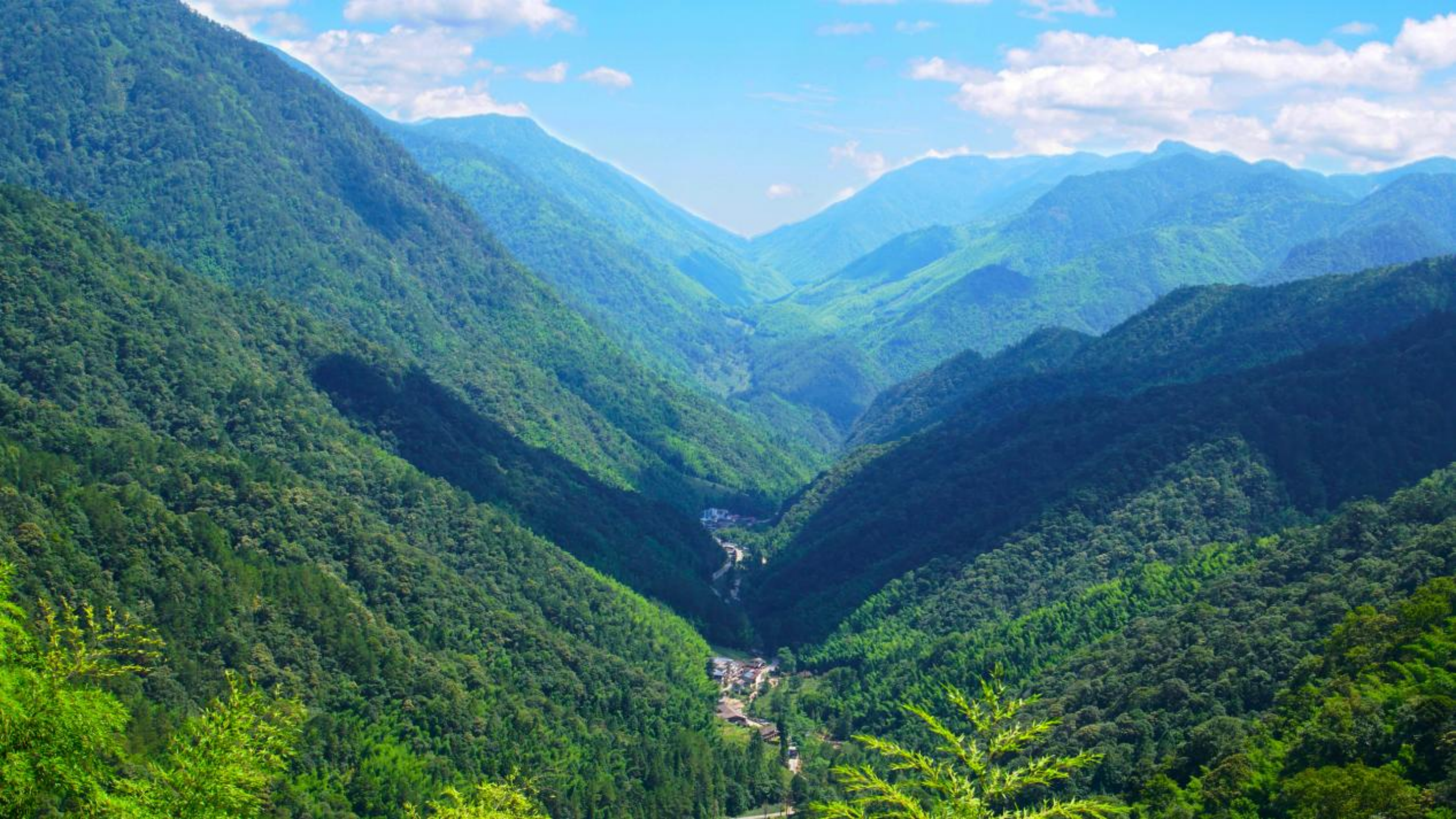 
上海第九人民医院黄牛代挂号电话票贩子号贩子网上预约挂号,住院检查加快,何以中国｜碧水丹山双卷 共展绿色自信