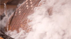 天津血液研究所黄牛代挂号电话票贩子号贩子网上预约挂号,住院检查加快,何以中国|万物皆可“熏”,地道武夷味