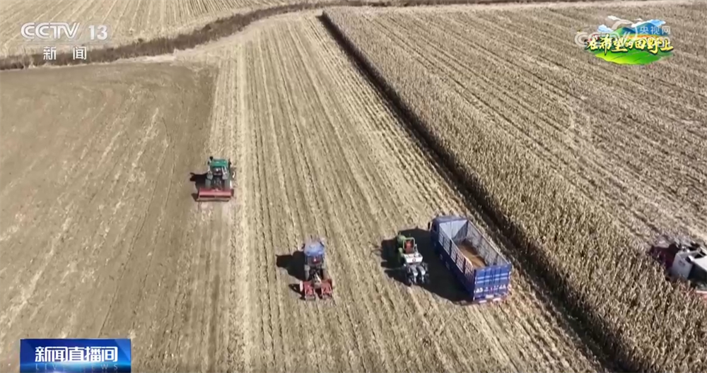 
北京大学第三医院黄牛代挂号电话票贩子号贩子网上预约挂号,住院检查加快,筑牢国家“大粮仓” 这里积极探索让黑土地保护有了新答案 一起了解↓