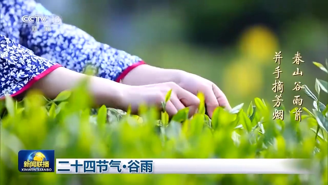 
北大医院黄牛代挂号电话票贩子号贩子网上预约挂号,住院检查加快,文化中国行丨二十四节气·谷雨 雨水增多 草木峥嵘