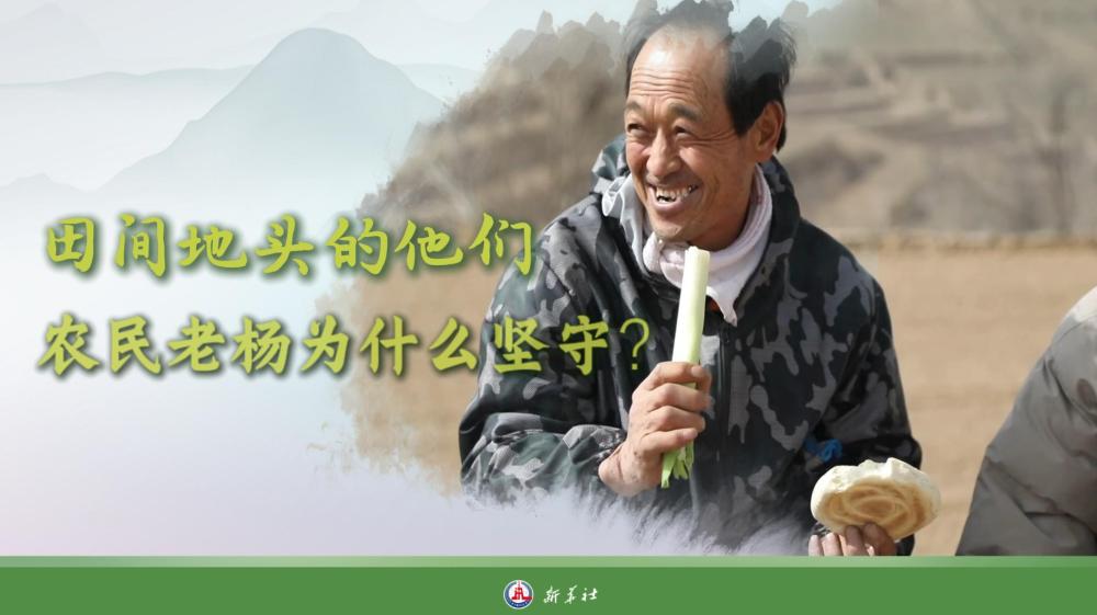 
北京空军总医院黄牛代挂号电话票贩子号贩子网上预约挂号,住院检查加快,田间地头的他们｜农民老杨为什么坚守？