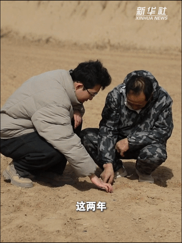 
北京空军总医院黄牛代挂号电话票贩子号贩子网上预约挂号,住院检查加快,田间地头的他们｜农民老杨为什么坚守？