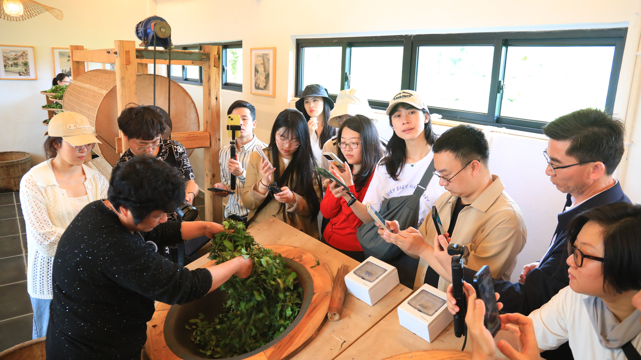 
北京人民医院黄牛代挂号电话票贩子号贩子网上预约挂号,住院检查加快,何以中国｜振兴路上，南平书写“三茶统筹”生态答卷