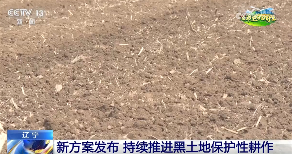 
北京大学第三医院黄牛代挂号电话票贩子号贩子网上预约挂号,住院检查加快,筑牢国家“大粮仓” 这里积极探索让黑土地保护有了新答案 一起了解↓