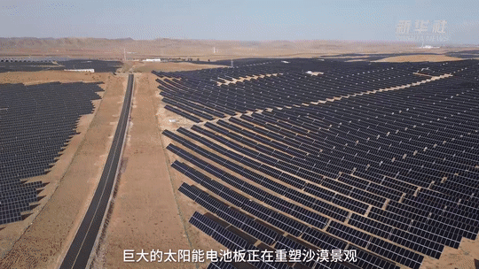 
成都华西医院黄牛代挂号电话票贩子号贩子网上预约挂号,住院检查加快,沙戈荒来电｜让“无用之地”变“风光无限”