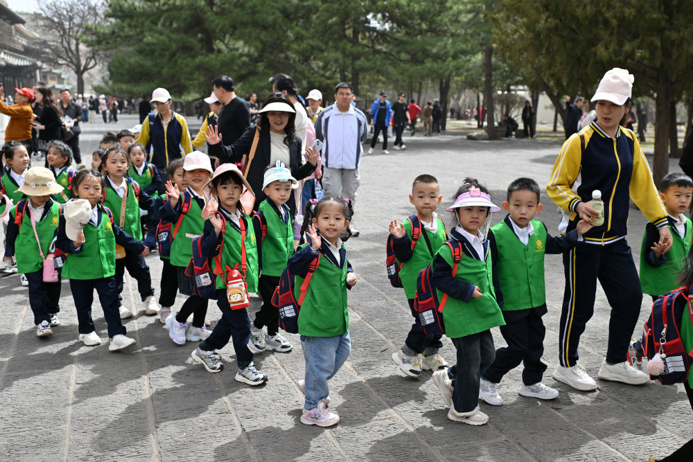 
上海第九人民医院黄牛代挂号电话票贩子号贩子网上预约挂号,住院检查加快,智绘中国·世遗镜鉴｜云冈石窟：守护刻在石头上的史书