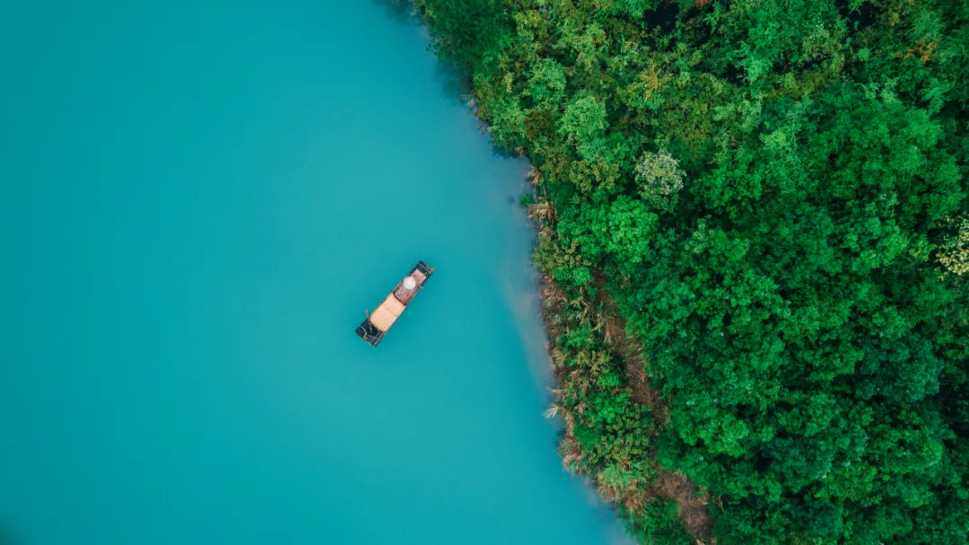 
南京眼科医院黄牛代挂号电话票贩子号贩子网上预约挂号,住院检查加快,这里是武夷山！