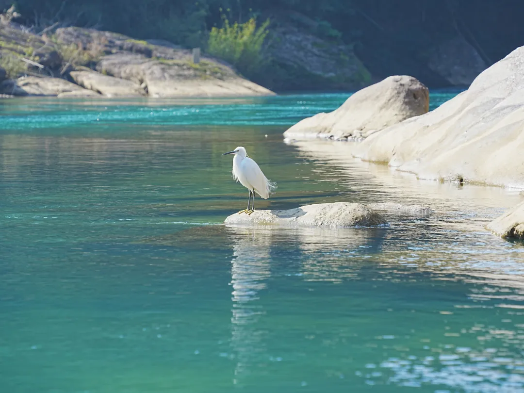 
南京眼科医院黄牛代挂号电话票贩子号贩子网上预约挂号,住院检查加快,这里是武夷山！