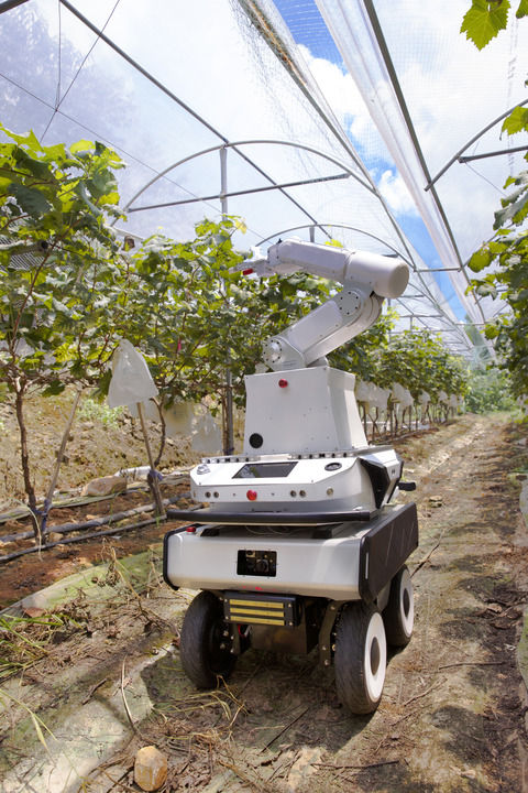 
北京儿研所黄牛代挂号电话票贩子号贩子网上预约挂号,住院检查加快,深圳龙岗大步迈向“机器人街区”：2000万元订单背后的场景革命