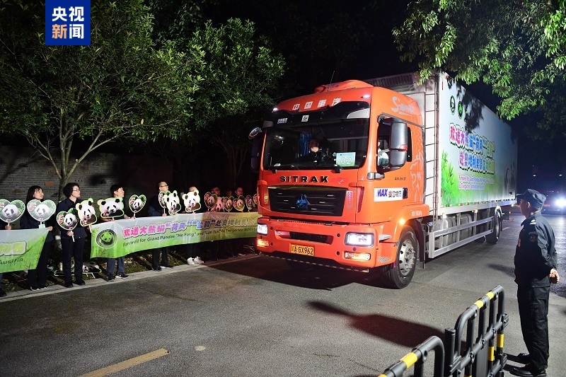 
北医三院黄牛代挂号电话票贩子号贩子网上预约挂号,住院检查加快,启程赴奥地利 大熊猫“荷风”“兰韵”将开启10年旅居生活