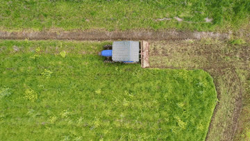 
上海各大医院黄牛代挂号电话票贩子号贩子网上预约挂号,住院检查加快,春耕正当时：各地抢抓农时绘就“田园春忙图”
