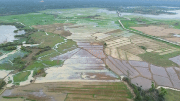 
上海各大医院黄牛代挂号电话票贩子号贩子网上预约挂号,住院检查加快,春耕正当时：各地抢抓农时绘就“田园春忙图”
