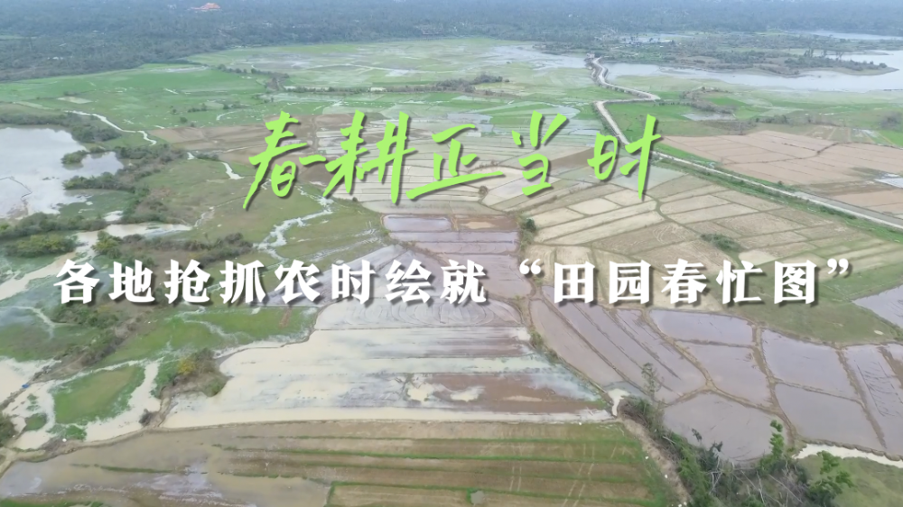 
上海各大医院黄牛代挂号电话票贩子号贩子网上预约挂号,住院检查加快,春耕正当时：各地抢抓农时绘就“田园春忙图”