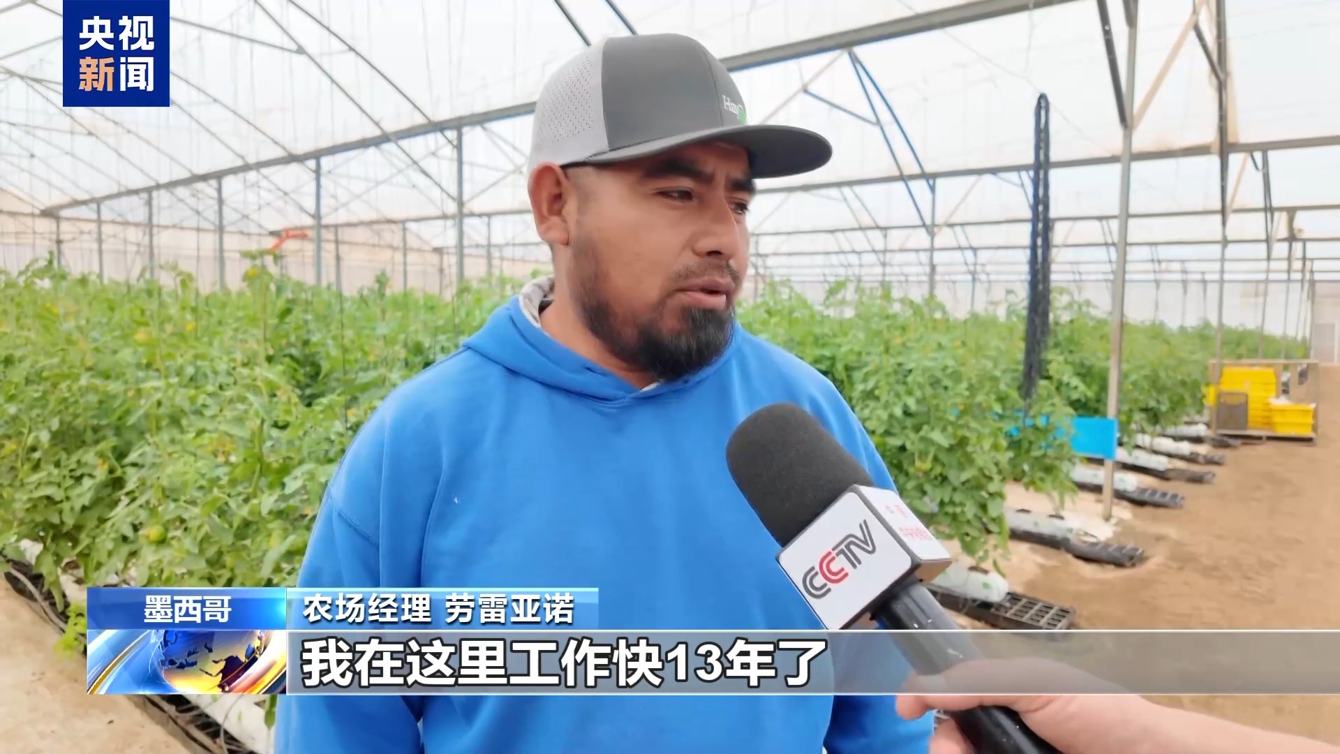 
武警总医院黄牛号贩子票贩子代网上预约代挂号电话总台记者观察丨美对墨番茄加税 “特供”成“特愁”