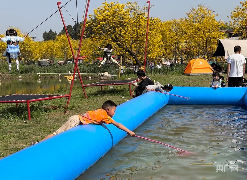 
浙江口腔医院黄牛代挂号电话票贩子号贩子网上预约挂号,住院检查加快,消费新观察｜黄花风铃木盛开 “花经济” 串起多元消费链