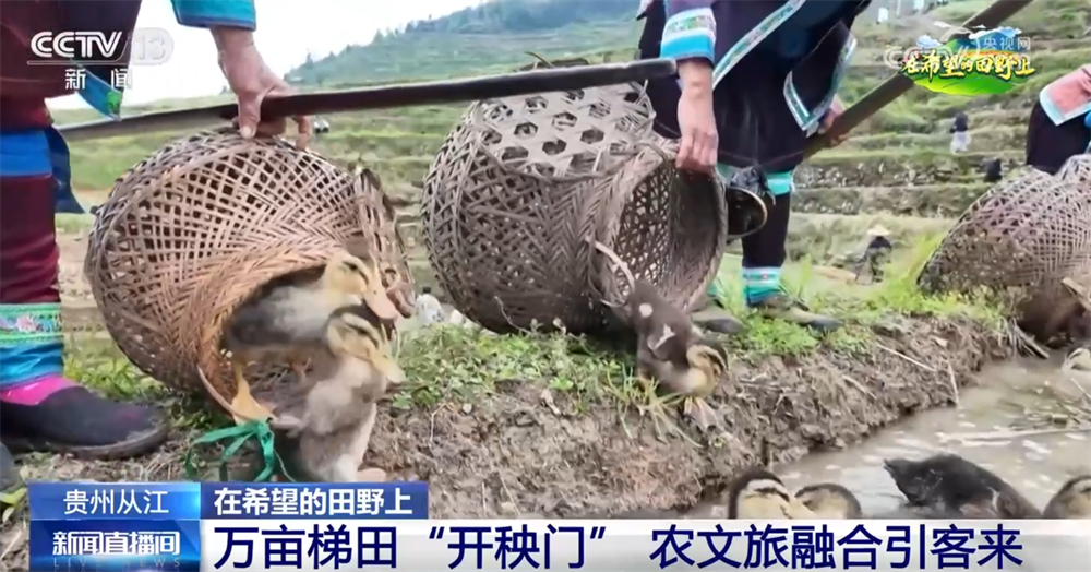 
北京各大医院黄牛代挂号电话票贩子号贩子网上预约挂号,住院检查加快,春管向“新”而行满满“科技范儿” 农文旅融合成为乡村振兴强引擎