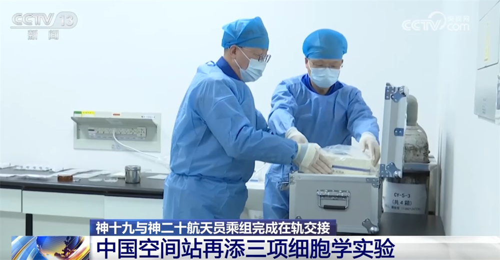 
首都医科院整形外科医院黄牛代挂号电话票贩子号贩子网上预约挂号,住院检查加快,中国空间站“上新”三项细胞学实验 一起期待揭开更多“生命密码”