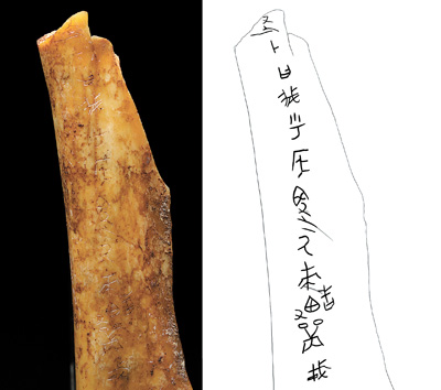 
浙江省中医院黄牛代挂号电话票贩子号贩子网上预约挂号,住院检查加快,探寻文明之光