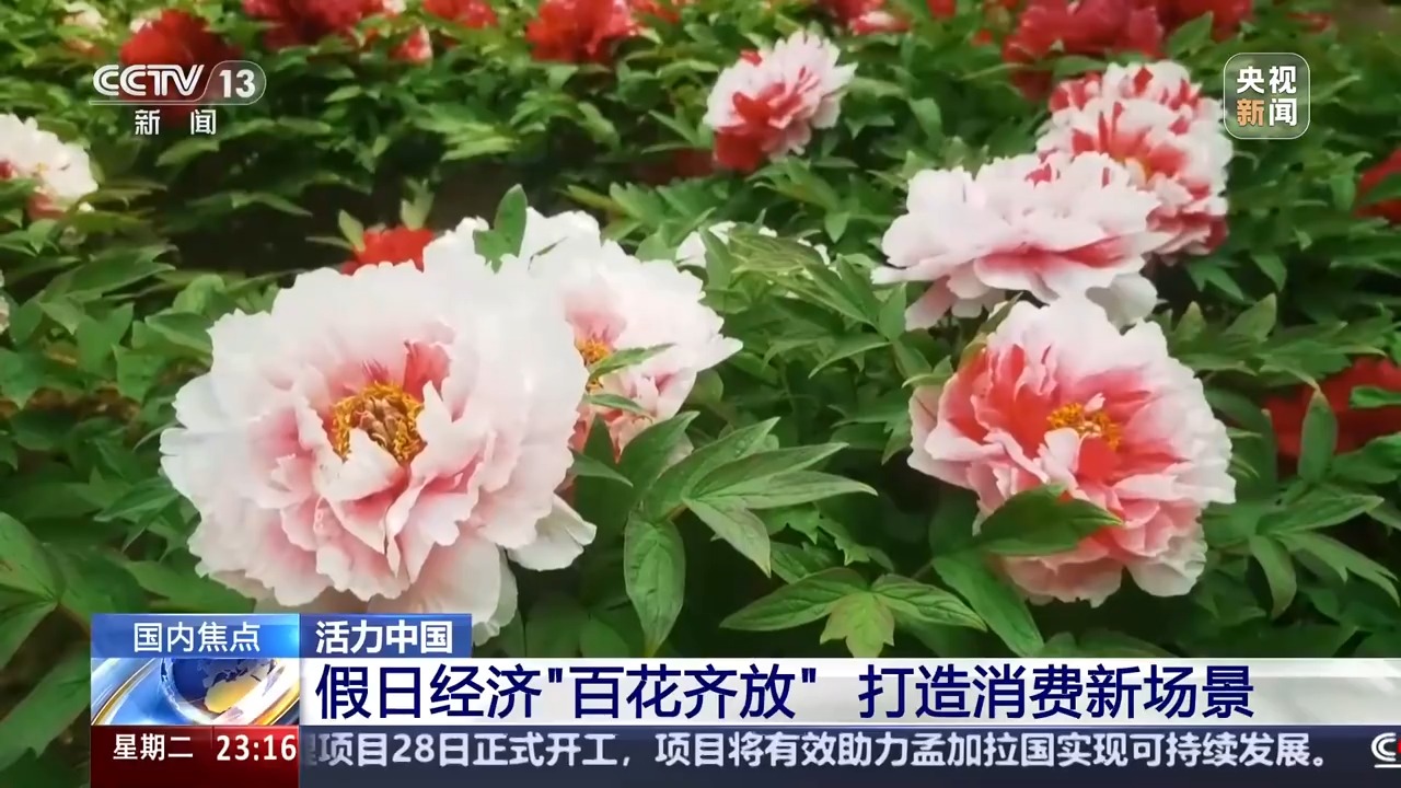
广州市番禺区中医院黄牛号贩子挂号电话假日经济“百花齐放” 来看看五一假期有哪些新玩法