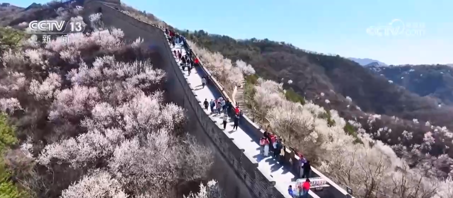 
江苏省人民医院黄牛代挂号电话票贩子号贩子网上预约挂号,住院检查加快,“花样”美景带火“赏花游” 消费市场迎来“春日限定”热潮