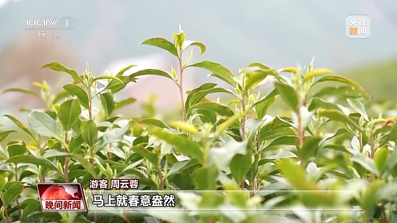 
浙江大学妇产科医院黄牛代挂号电话票贩子号贩子网上预约挂号,住院检查加快,赏花、采茶、观鸟…… 这个清明假期尽享美好春日时光