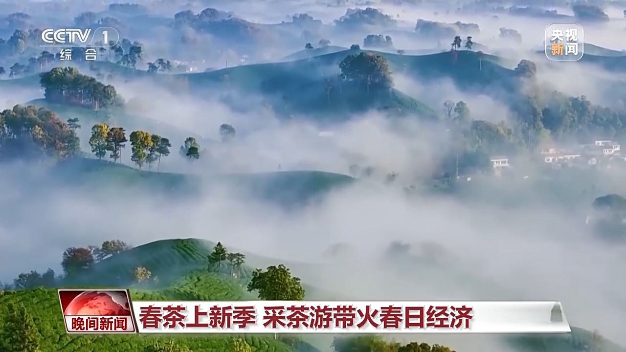 
浙江大学妇产科医院黄牛代挂号电话票贩子号贩子网上预约挂号,住院检查加快,赏花、采茶、观鸟…… 这个清明假期尽享美好春日时光