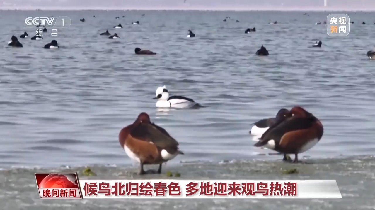 
浙江大学妇产科医院黄牛代挂号电话票贩子号贩子网上预约挂号,住院检查加快,赏花、采茶、观鸟…… 这个清明假期尽享美好春日时光