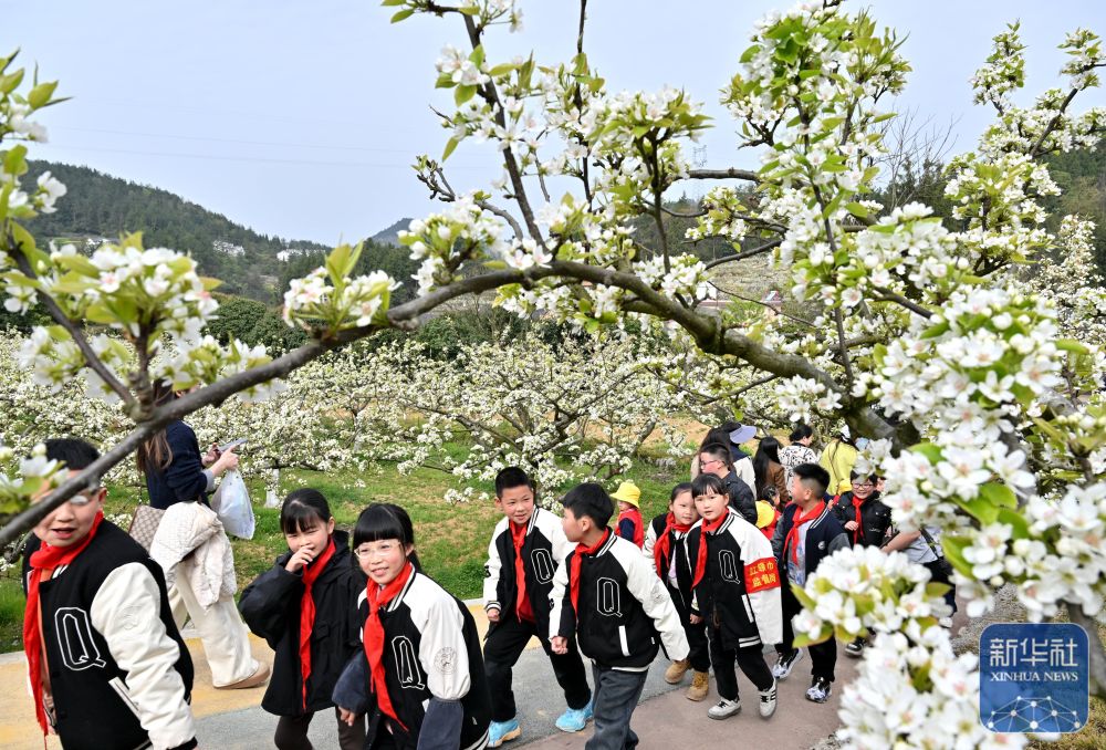 
中山大学孙逸仙纪念医院黄牛代挂号电话票贩子号贩子网上预约挂号,住院检查加快,多彩民俗迎清明