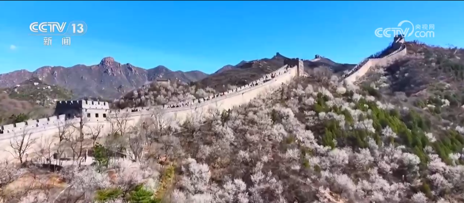 
江苏省人民医院黄牛代挂号电话票贩子号贩子网上预约挂号,住院检查加快,“花样”美景带火“赏花游” 消费市场迎来“春日限定”热潮
