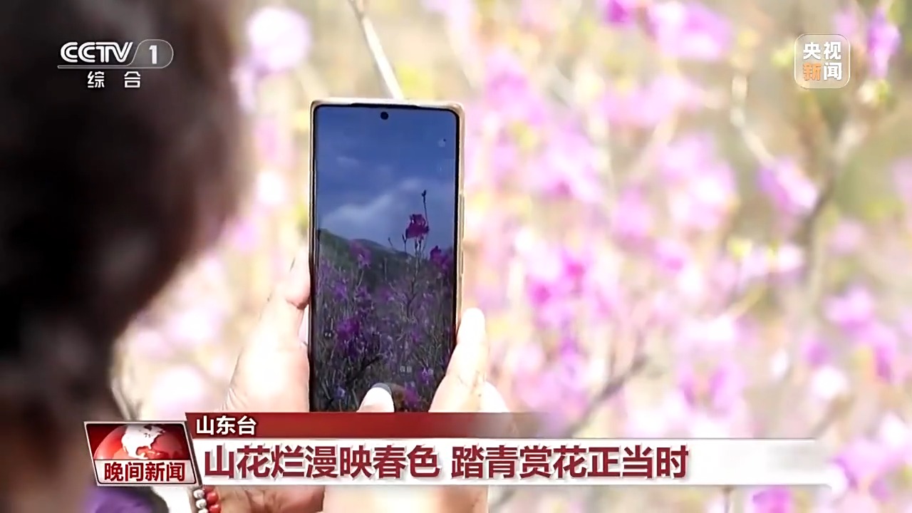 
浙江大学妇产科医院黄牛代挂号电话票贩子号贩子网上预约挂号,住院检查加快,赏花、采茶、观鸟…… 这个清明假期尽享美好春日时光