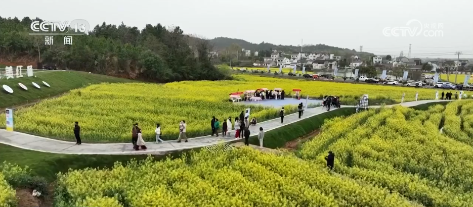 
江苏省人民医院黄牛代挂号电话票贩子号贩子网上预约挂号,住院检查加快,“花样”美景带火“赏花游” 消费市场迎来“春日限定”热潮