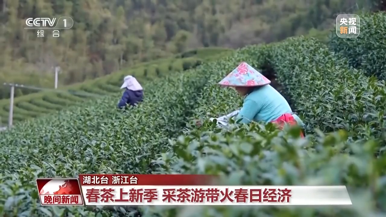 
浙江大学妇产科医院黄牛代挂号电话票贩子号贩子网上预约挂号,住院检查加快,赏花、采茶、观鸟…… 这个清明假期尽享美好春日时光