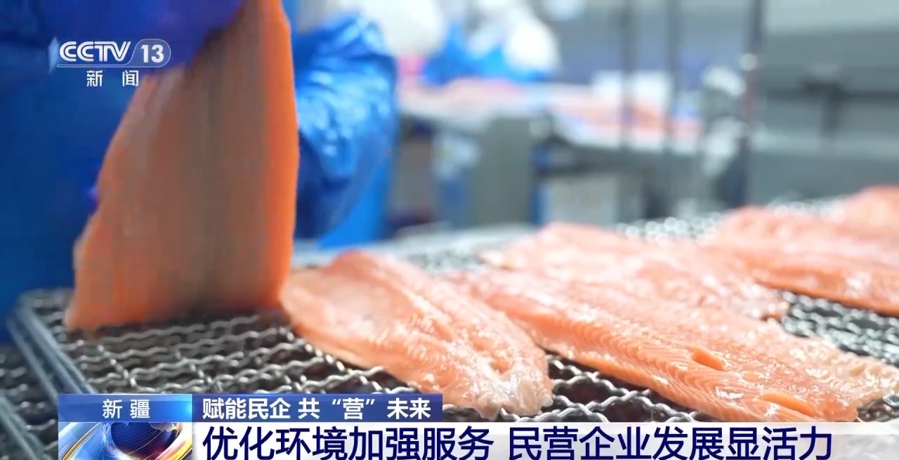 
北京301医院黄牛代挂号电话票贩子号贩子网上预约挂号,住院检查加快,绿电“捕风者”领跑全球 “海鲜”养殖火出圈 新疆解锁“聚宝盆”新密码