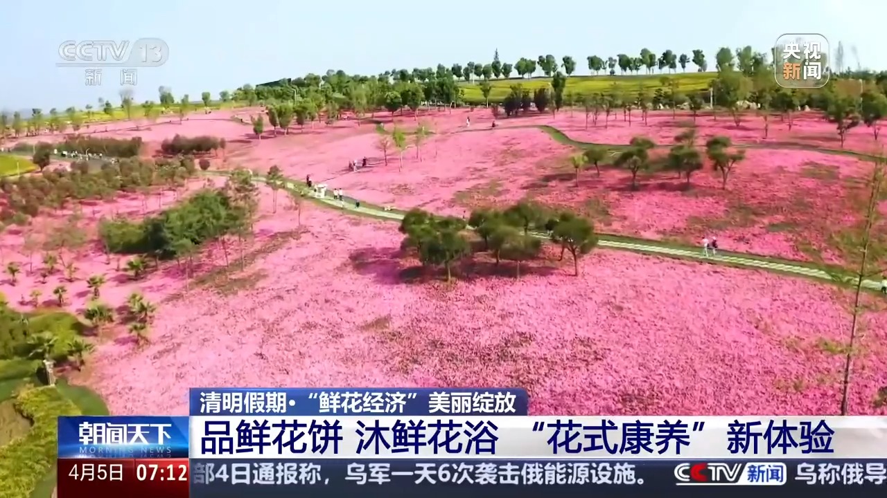 
上海儿童医院黄牛代挂号电话票贩子号贩子网上预约挂号,住院检查加快,品牡丹宴、喝油菜花咖啡 这个春天花田“开出”新产业