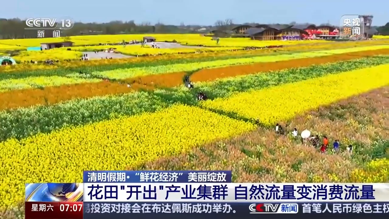 
上海儿童医院黄牛代挂号电话票贩子号贩子网上预约挂号,住院检查加快,品牡丹宴、喝油菜花咖啡 这个春天花田“开出”新产业