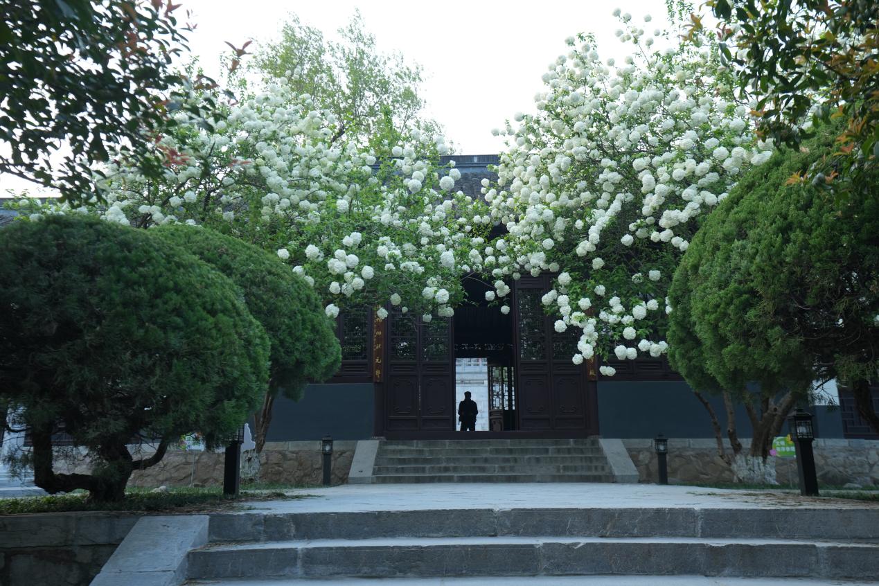 
江苏省人民医院黄牛代挂号电话票贩子号贩子网上预约挂号,住院检查加快,文化中国行｜春花古建两相宜·崇正书院重新开放，小长假游人争睹“最火”木绣球