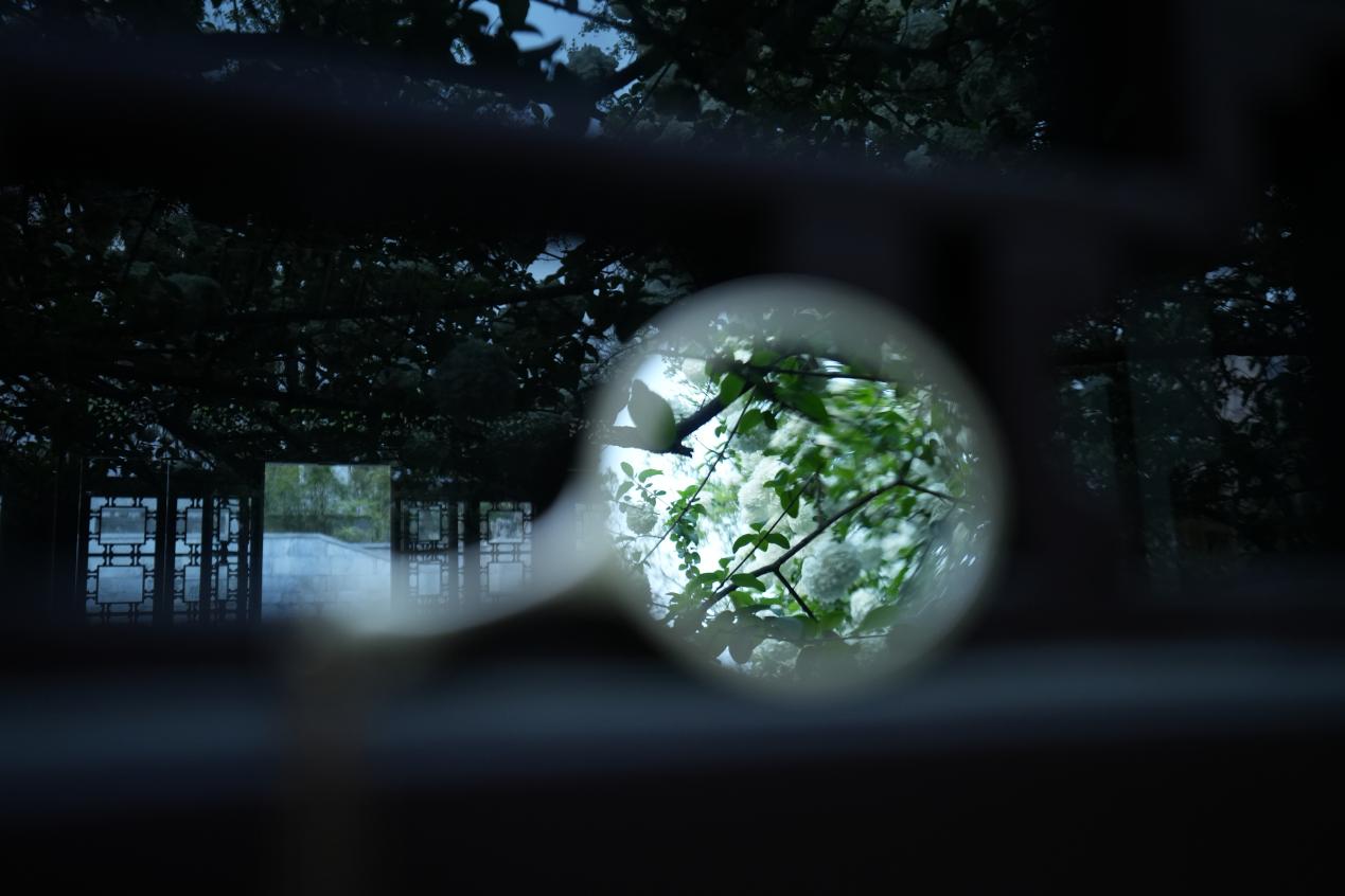 
江苏省人民医院黄牛代挂号电话票贩子号贩子网上预约挂号,住院检查加快,文化中国行｜春花古建两相宜·崇正书院重新开放，小长假游人争睹“最火”木绣球