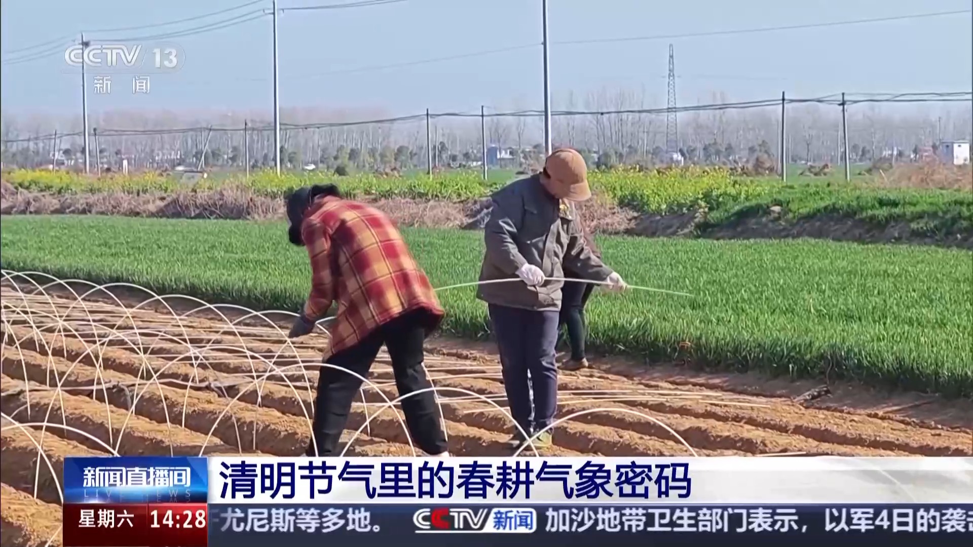 
北京大学第三医院黄牛代挂号电话票贩子号贩子网上预约挂号,住院检查加快,清明也分“早晚前后” 揭秘藏在节气里的农事密码
