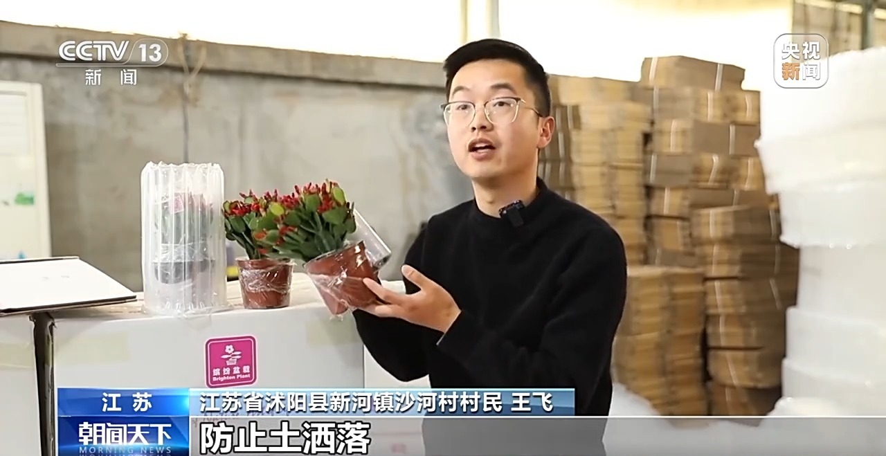 
江苏省中医院黄牛代挂号电话票贩子号贩子网上预约挂号,住院检查加快,定时开花、抢“鲜”抵达……“鲜花经济”持续绽放新活力