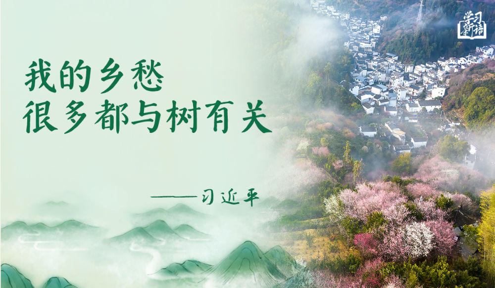 
江苏省中西医结合医院黄牛代挂号电话票贩子号贩子网上预约挂号,住院检查加快,学习新语｜“义务植树是全民行动”