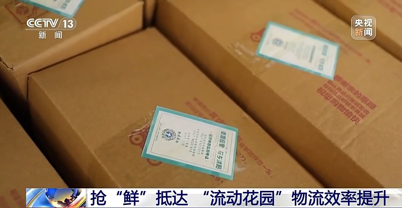 
江苏省中医院黄牛代挂号电话票贩子号贩子网上预约挂号,住院检查加快,定时开花、抢“鲜”抵达……“鲜花经济”持续绽放新活力