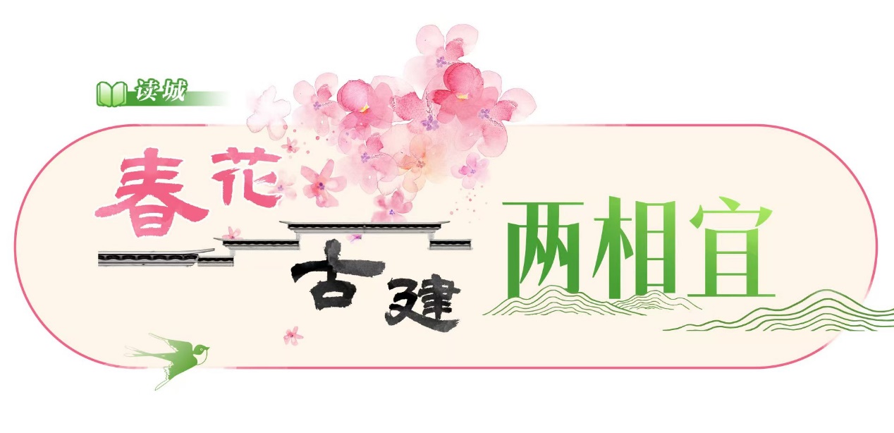 
江苏省人民医院黄牛代挂号电话票贩子号贩子网上预约挂号,住院检查加快,文化中国行｜春花古建两相宜·崇正书院重新开放，小长假游人争睹“最火”木绣球